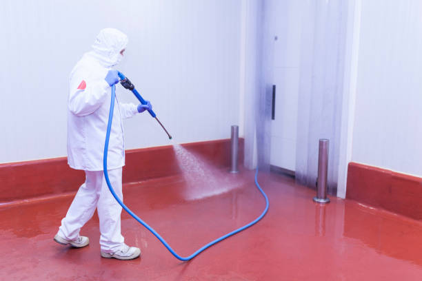  Winlock, WA Pressure Washing Pros
